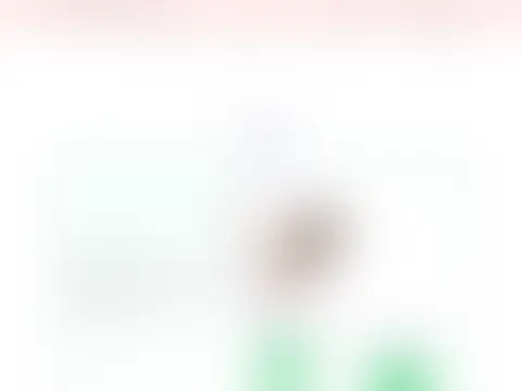 実績 100：内容は非公開