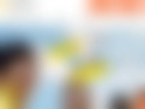実績 12：内容は非公開