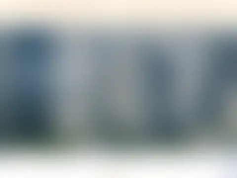 実績 2：内容は非公開