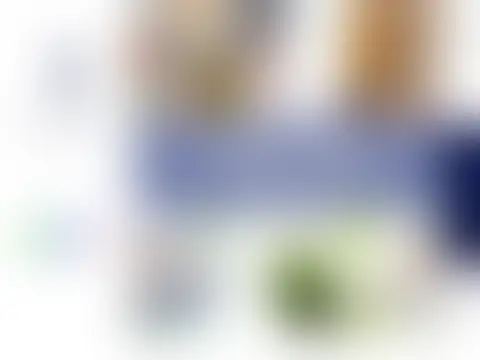 実績 25：内容は非公開