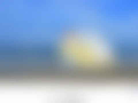 実績 28：内容は非公開