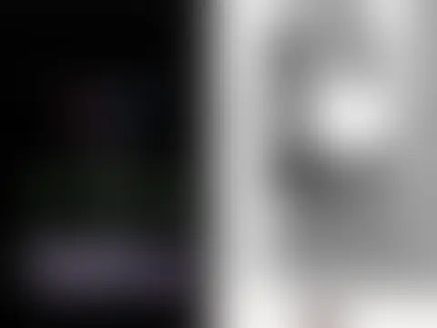 実績 29：内容は非公開