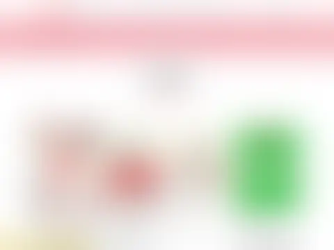 実績 31：内容は非公開