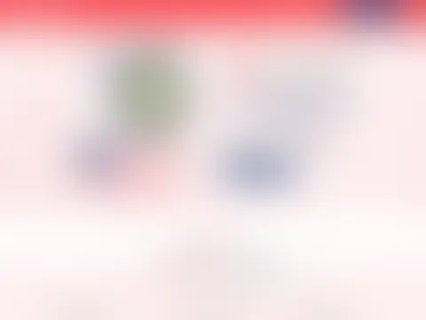 実績 6：内容は非公開