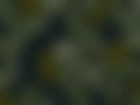 実績 95：内容は非公開